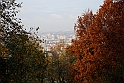 Parco Europa Autunno_041